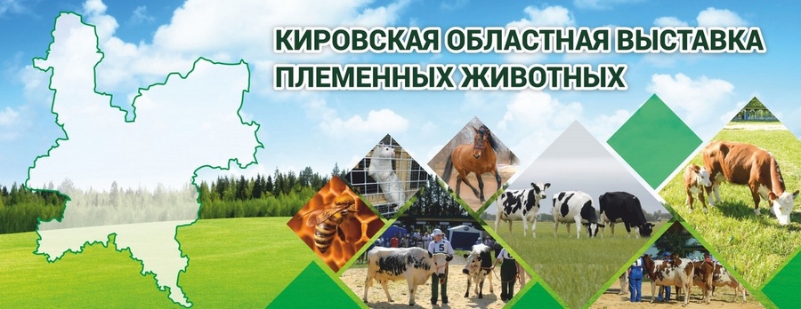 XXIII Кировская областная выставка племенных животных